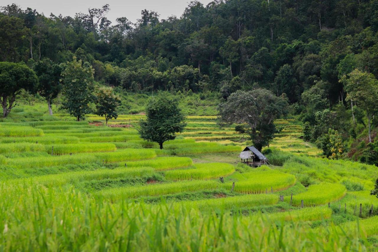 Maewin Guesthouse And Resort Ban Huai Rin Buitenkant foto