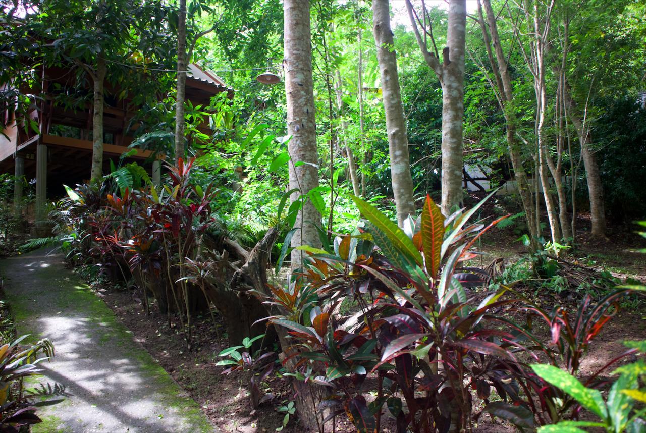 Maewin Guesthouse And Resort Ban Huai Rin Buitenkant foto